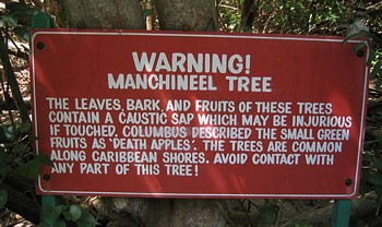 Manchineel-warning.jpg