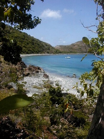 A pebble-covered beach